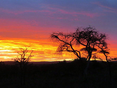 Now we are 61; a reflection