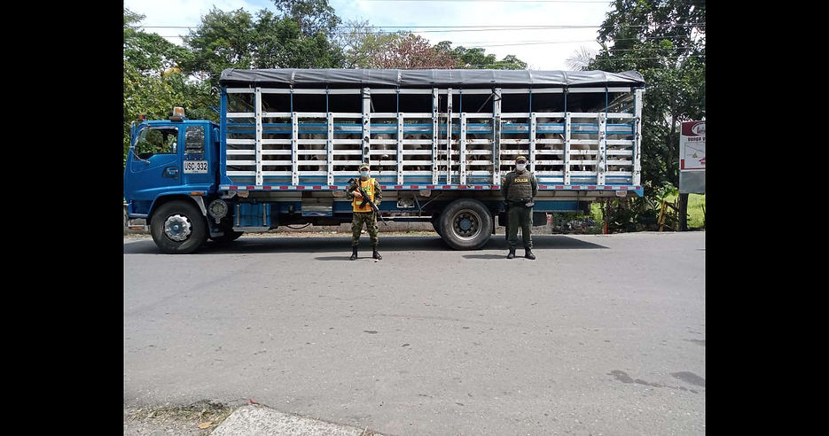 Recuperado Ganado avaluado en 100 Millones de Pesos