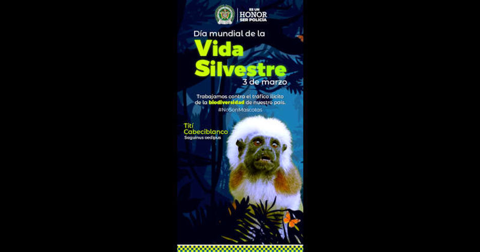 Dia mundial de la vida silvestre