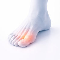 Medical illustration of the forefoot with the ball of the foot highlighted in red to show pain under the front of the foot.