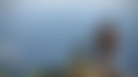 How Active Eugene Residents Can Recover Faster from Sprains and Muscle Strains