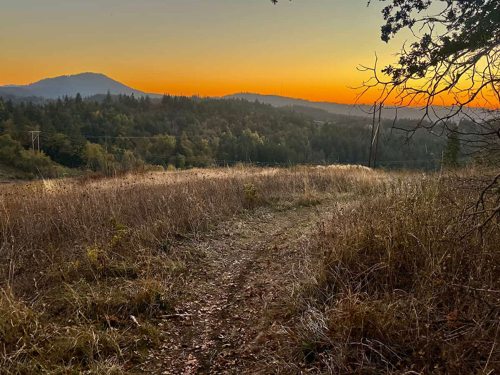 A fall sunset on Moon mountain while on a trail run in Eugene