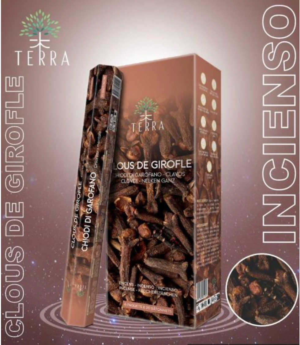 Encens Terra clou de girofle hexa sans charbon 30grs