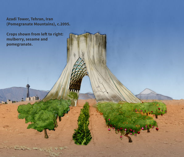 A slide from the presentation used in the performance lecture featuring an illustration of  the Azadi Tower in Tehran, Iran (known in Pardis' time as the Pomegranate Mountains). It is run-down and dilapidated, and in front of it is an orchard of mulberry, sesame and pomegranate trees and crops. It is dated as circa 2095.
