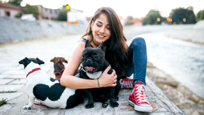 10 Benefits of Having a Dog for Your Family