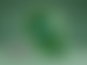 What weekly reporting changes mean for borrowers and how to protect your financial profile cover image