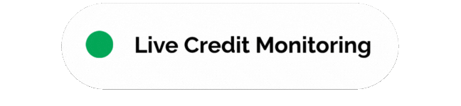 MyExcellentScore | Improve credit score