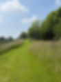 IMG_6549.jpeg