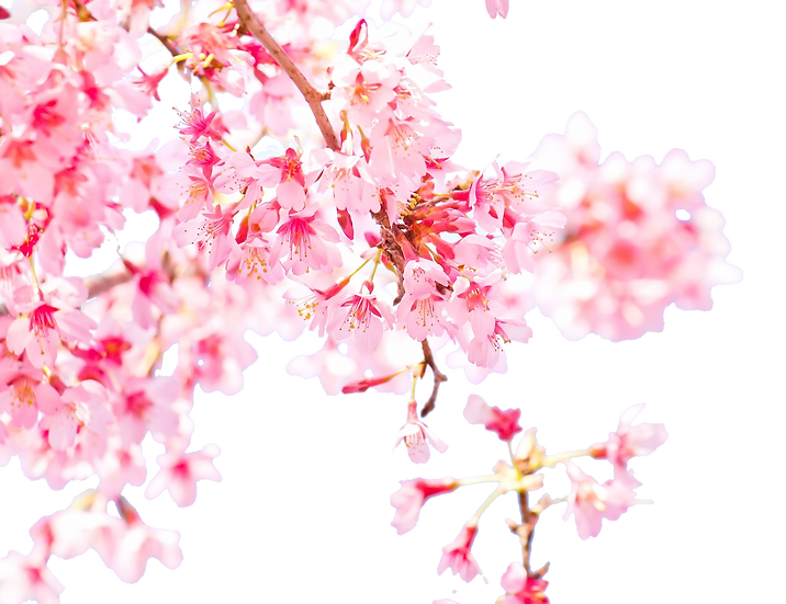 ダウンロード (4).png