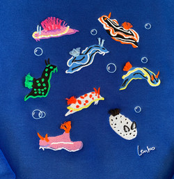 2020- Nudibranchs