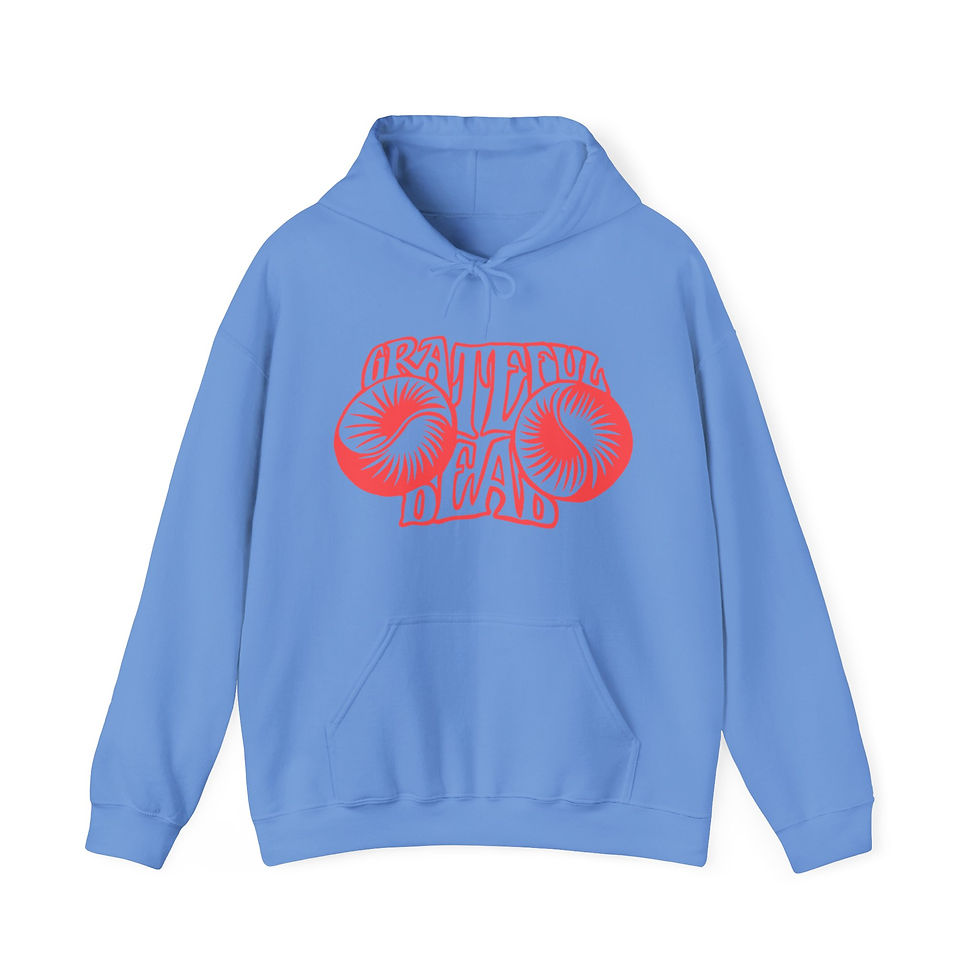 Thumbnail: 1967 Terk Hoodie