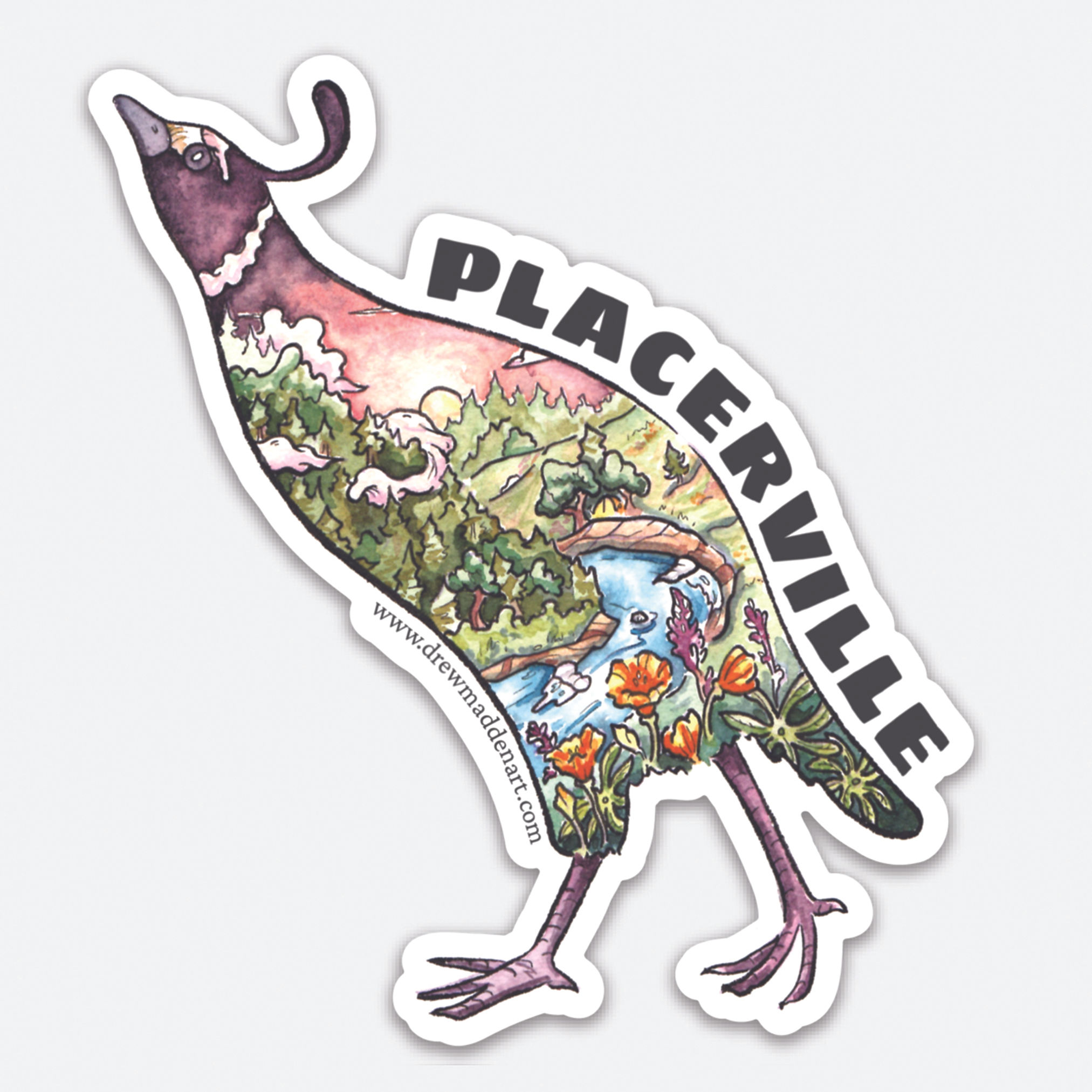 Placerville Quail Sunset