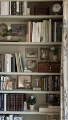 Bookcase Renovation Inspiration