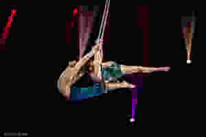 Duo eMotion <Duo Trapeze>