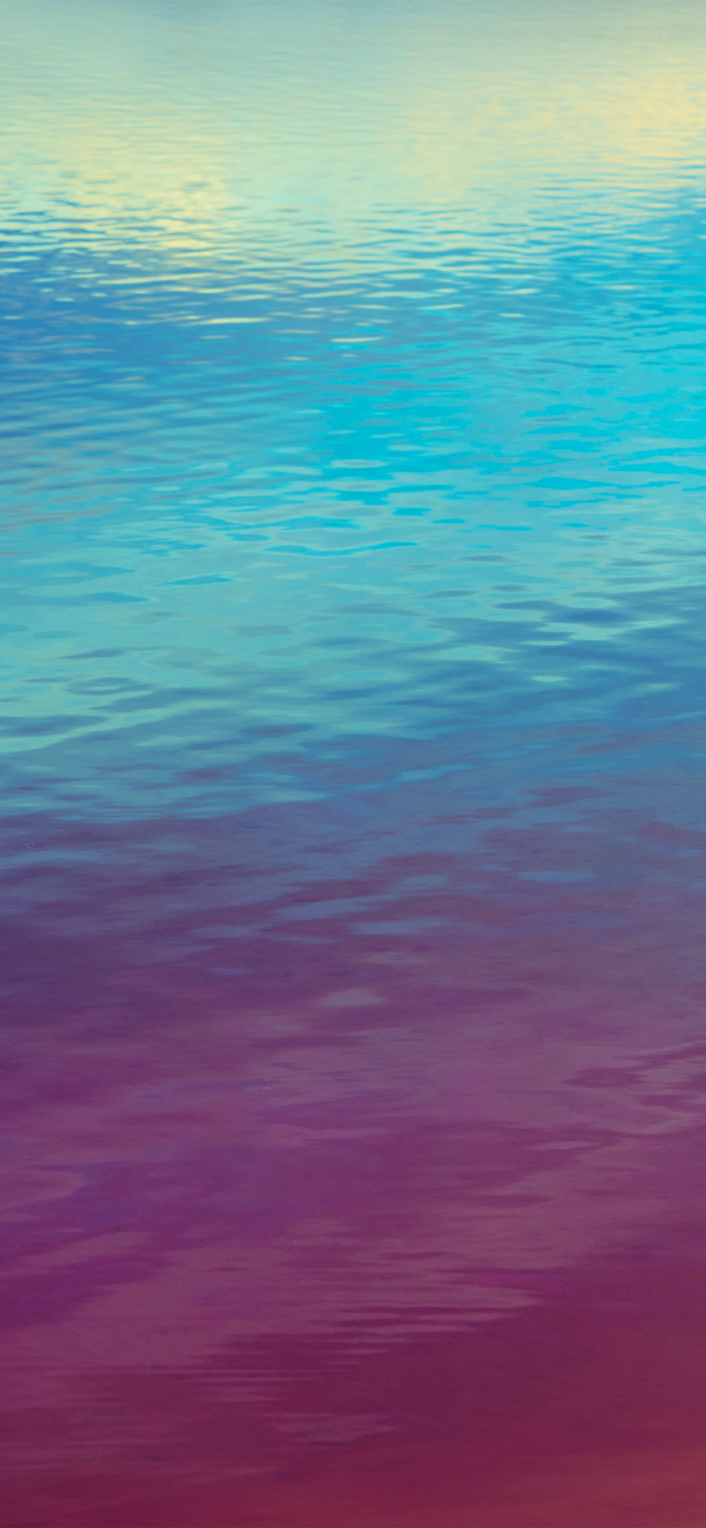 Free wallpaper download (iPhone11, X/Samsung S8, S9, Note10)