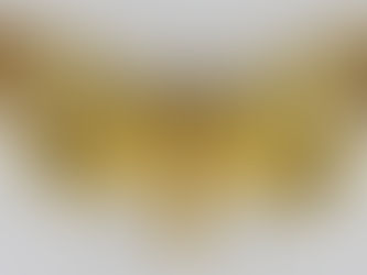 황색검은점띠밤나방(Ophiusa tirhaca)