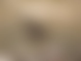 뿔나비(Libythea lepita)