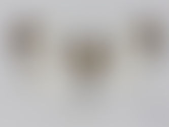 여왕밤나방(Sinocharis korbae)