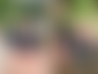 은판나비(Mimathyma schrenckii)