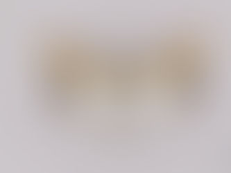 남방홍점불나방(Utetheisa lotrix)