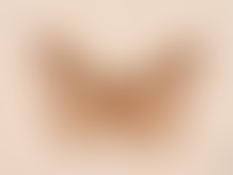 부엉이산누에나방(Eriogyna pyretorum)