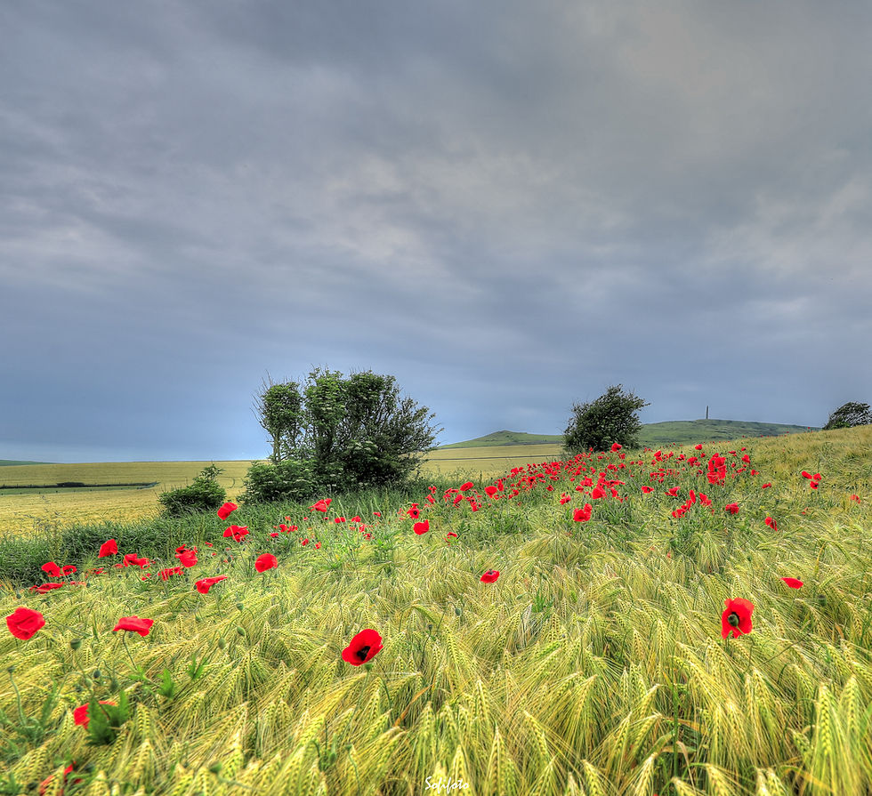 Miniature : Vue sur Escalles - Cap Blanc Nez