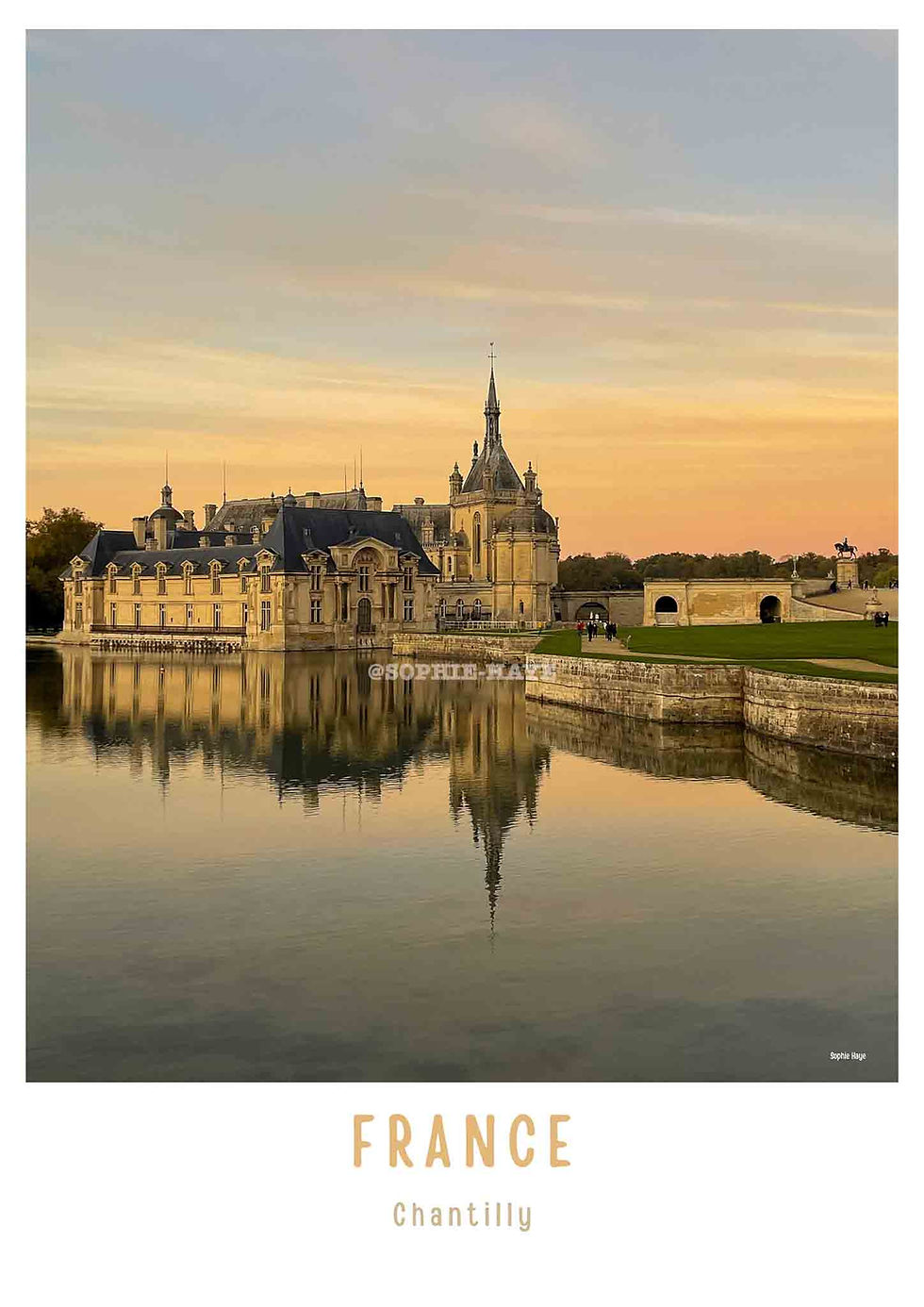 Miniature : Forêt de Chantilly 14