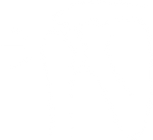 Shoulder Pain Graphic.png