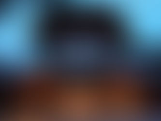 Discovering the Nocturnal Wildlife: Highlights of the Singapore Night Safari