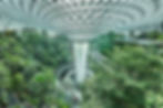 Jewel Changi AIrport (Credit Buro Happold)