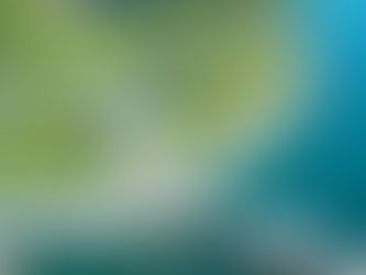 Marina Barrage: A Hidden Gem for Families and Nature Lovers