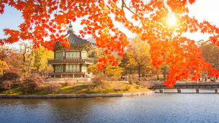 Places to visit to enjoy Seoul in autumn