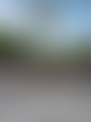 Easy One Day Trip Singapore Itinerary