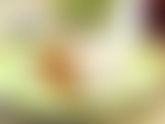 A Complete Guide to the 10 Best Chicken Rice in Singapore