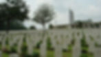 Rows of white gravestones in a cemetery with trees and a memorial wall in the background. The mood is solemn and peaceful under a cloudy sky.