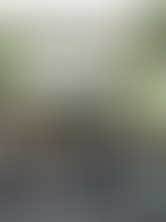 Discovering the Heart of Joo Chiat Complex: A Tapestry of Culture