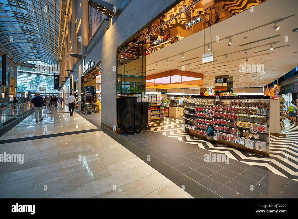 A Shopper's Paradise: Navigating The Shoppes at Marina Bay Sands