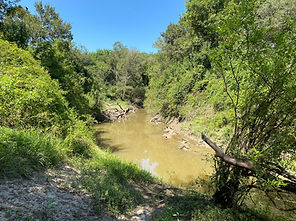 EAST TEXAS WETLAND DELINEATION.jpg
