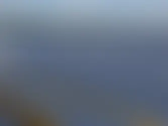 SSE Energy Markets Secures 52 MW Solar Capacity Through Low Carbon PPAs