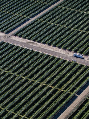 The biggest US solar-storage project yet takes shape in California