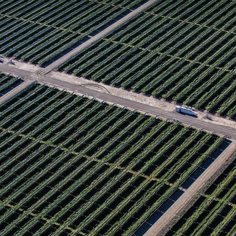 The biggest US solar-storage project yet takes shape in California