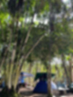 Camping Tio Gato.png.jpeg11