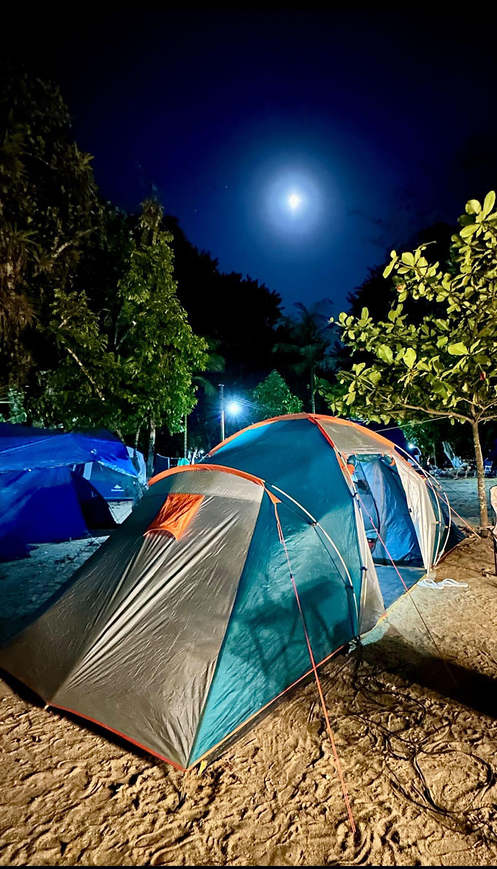 Camping Tio Gato.png.jpeg37