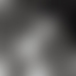 Brandon & Mikayla’s Indian Riverside Park Engagement Photos | Jensen Beach, Florida