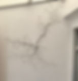 IMG_5673.jpeg