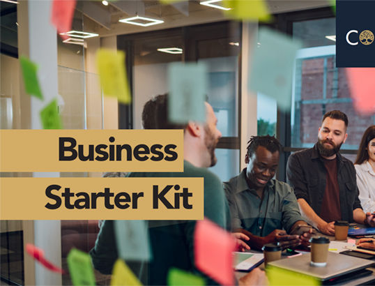 Business Starter Kit (bundle)