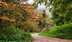 5 woodchester park.jpg