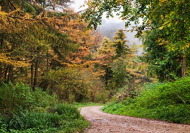 5 woodchester park.jpg