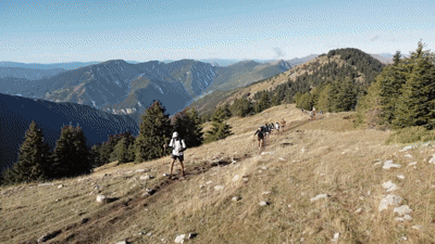 Cote dAzur terrain.gif