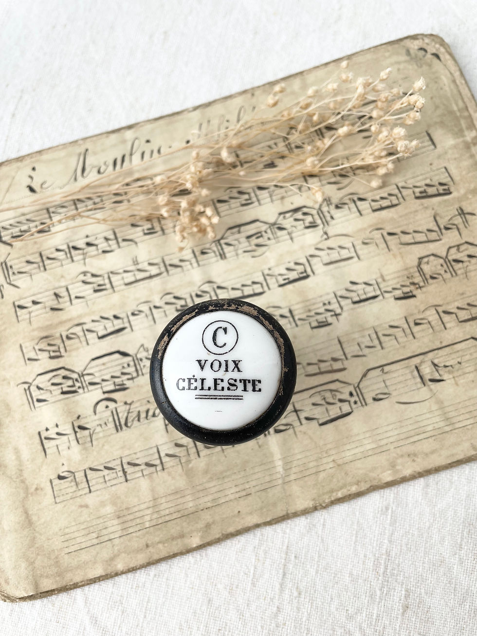 Miniature : En musique…